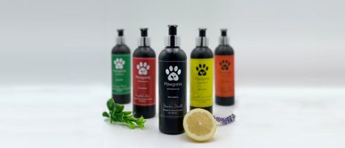 Shampoo sample 5pk