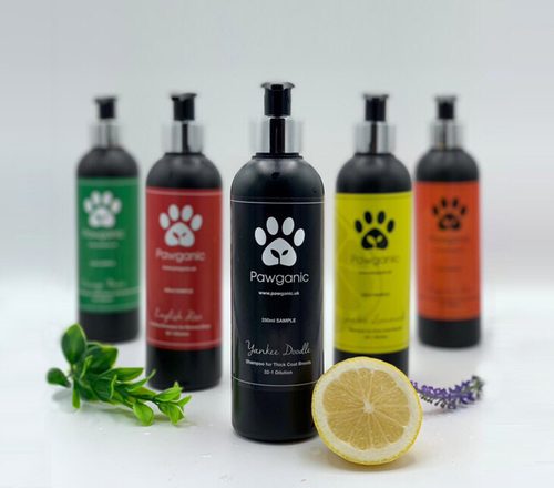 Shampoo sample 5pk